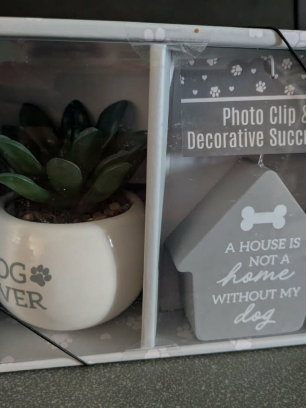 Best of Breed Pet Photo Clip & Decorative Succulent Set - White & Gray - Picture 2 of 5